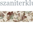Kép 1/2 - ragno cocciopesto decoro botanico avorio R6XP 40x120 cm