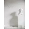cerrad marmo thassos white pol 119,7x59,7 cm