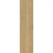Kép 1/4 - energieker woodwise auburn 30x120 cm