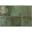 Kép 1/4 - equipe spa&pools moss green 15x15 cm