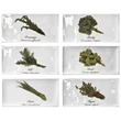 Kép 1/3 - Fabresa artisan herb decor mix brillo csempe 10x20 cm