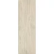 Kép 1/2 - paradyz wood basic bianco 20x60 cm