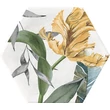 Kép 5/9 - ribesalbes apollo 13 hex dekor csempe 23x27 cm