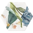 Kép 8/9 - ribesalbes apollo 13 hex dekor csempe 23x27 cm