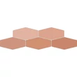 Kép 1/2 - ribesalbes sailing hex flamingo gloss csempe 10x20 cm
