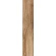 Kép 1/3 - rondine daring nut 24x120 cm