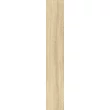 Kép 1/2 - sichenia troncais miele 20x120 cm