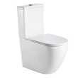 Kép 1/5 - wellis Sophia monoblokkos rimless WC