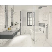 Paradyz Morning