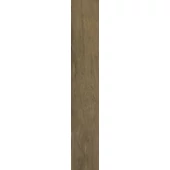 Paradyz Warmwood