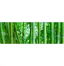 konskie bamboo glass inserto szett 25x75 cm