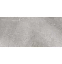 cerrad masterstone silver rect 119,7x59,7 cm