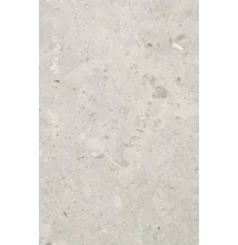crz64 slite light grey 60x120 cm