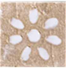 delconca galestro a hgt 1 beige 5x5 cm