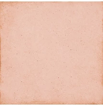 EQUIPE ART NOUVEAU CORAL PINK 20X20