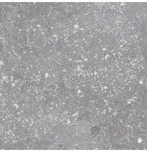 EQUIPE CORALSTONE GREY 20X20