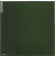 EQUIPE EVOLUTION VICTORIAN GREEN 15X15 cm