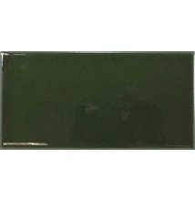 EQUIPE EVOLUTION VICTORIAN GREEN 7,5X15 cm