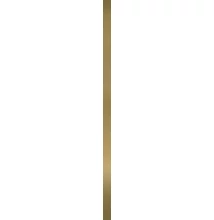 paradyz fancy metal oro profil 2x60 cm