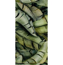 paradyz leaf b glass inserto 30x60