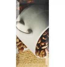 paradyz tamoe inserto D dekor 9,8x19,8 cm