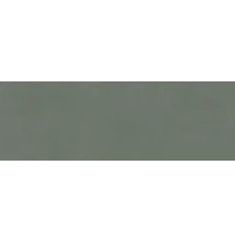 ragno resina ardesia csempe R79X 40x120 cm