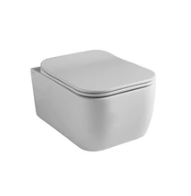 gsgi brio fali wc