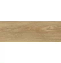 valore dreamwood glsosy ret. 25x25 cm