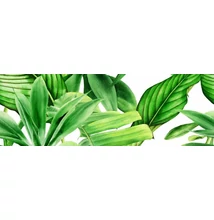 valore premium garden tropic dekor a ret. 25x75 cm