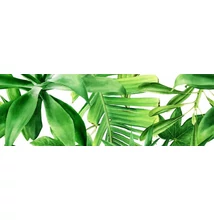 valore premium garden tropic dekor b ret. 25x75 cm