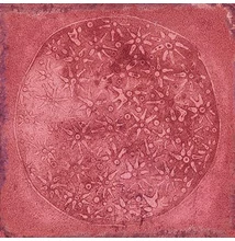vives luca carlo granate 20x20 cm