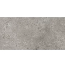 ascot stone valley cenere 59,5x119,2 cm