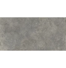 atlas concorde codec gray 30x60 cm