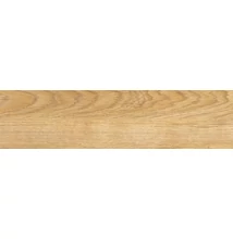 color calacatta gold wood essence natural padlólap 15,5x62 cm