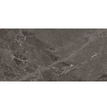 arte linea brown glossy csempe 29,8x59,8 cm
