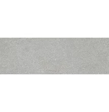 emigres olite gris falicsempe 20x60 cm