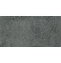 energieker miro graphite 60x120 cm