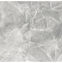 energieker onyx grey pol 60x60 cm 