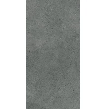 paradyz authority graphite 60x120 cm