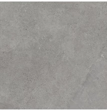 paradyz authority grey 120x120 cm