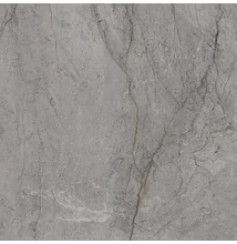 paradyz visioner grey pol. 120x120 cm