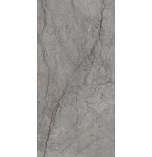 paradyz visioner grey pol. 60x120 cm