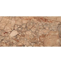 ragno incanto breccia pernice glossy 30x60 cm