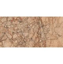 ragno incanto breccia pernice glossy 60x120 cm