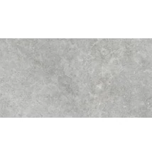 ragno richmond silver ret padlólap RAFW 60x120 cm
