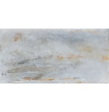 sichenia metal silver 60x120 cm