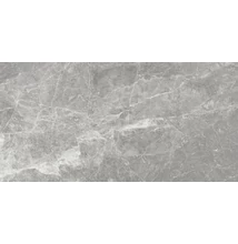 sichenia museum amazing grey lux 59x117,5 cm