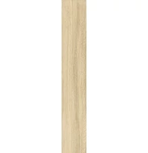 sichenia troncais miele 20x120 cm