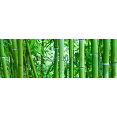 konskie bamboo glass inserto szett 25x75 cm