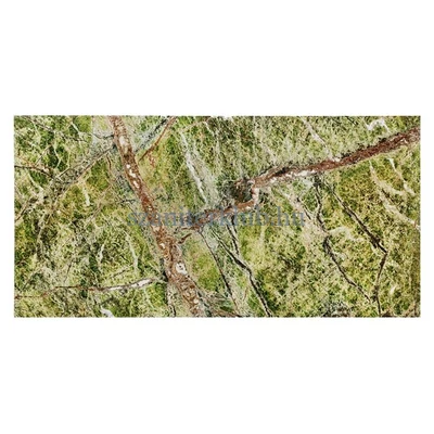 dunin zen rainforest green glossy 60x30x1 cm